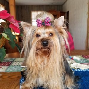 Meet your Posher, Lydia